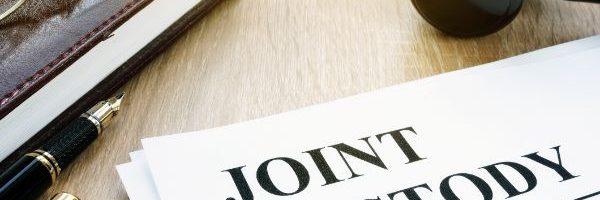 How to Make Joint Custody Work